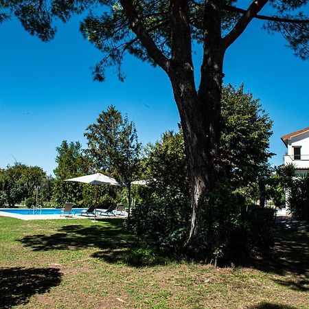 Terre Etrusche Guest House-Terme -3 Minuti Da Viterbo Centro Exteriér fotografie