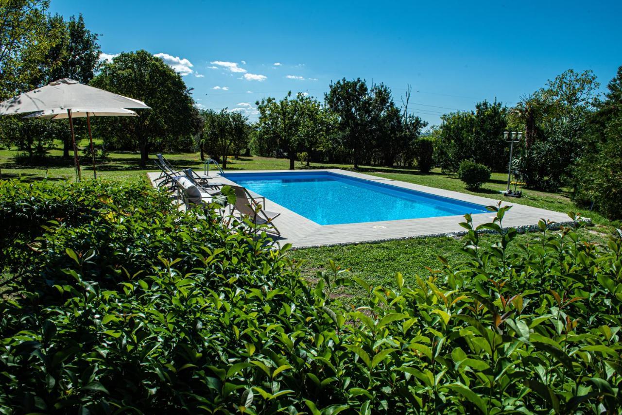 Terre Etrusche Guest House-Terme -3 Minuti Da Viterbo Centro Exteriér fotografie