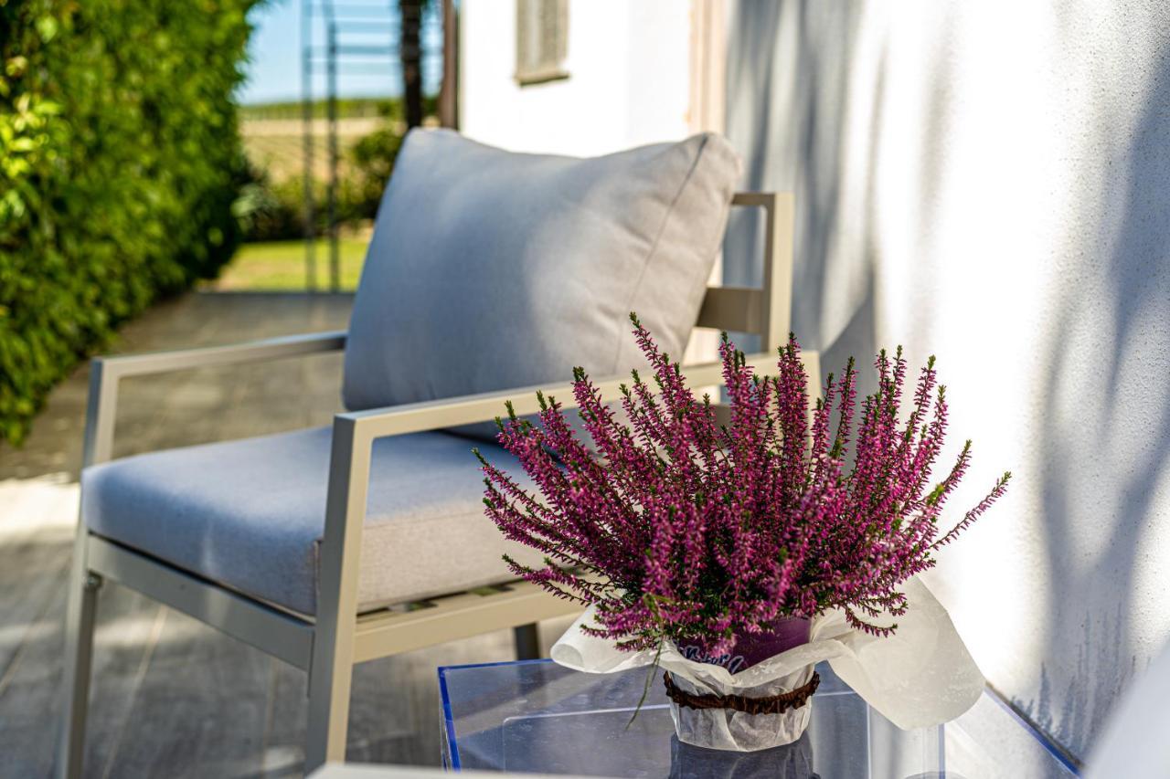 Terre Etrusche Guest House-Terme -3 Minuti Da Viterbo Centro Exteriér fotografie
